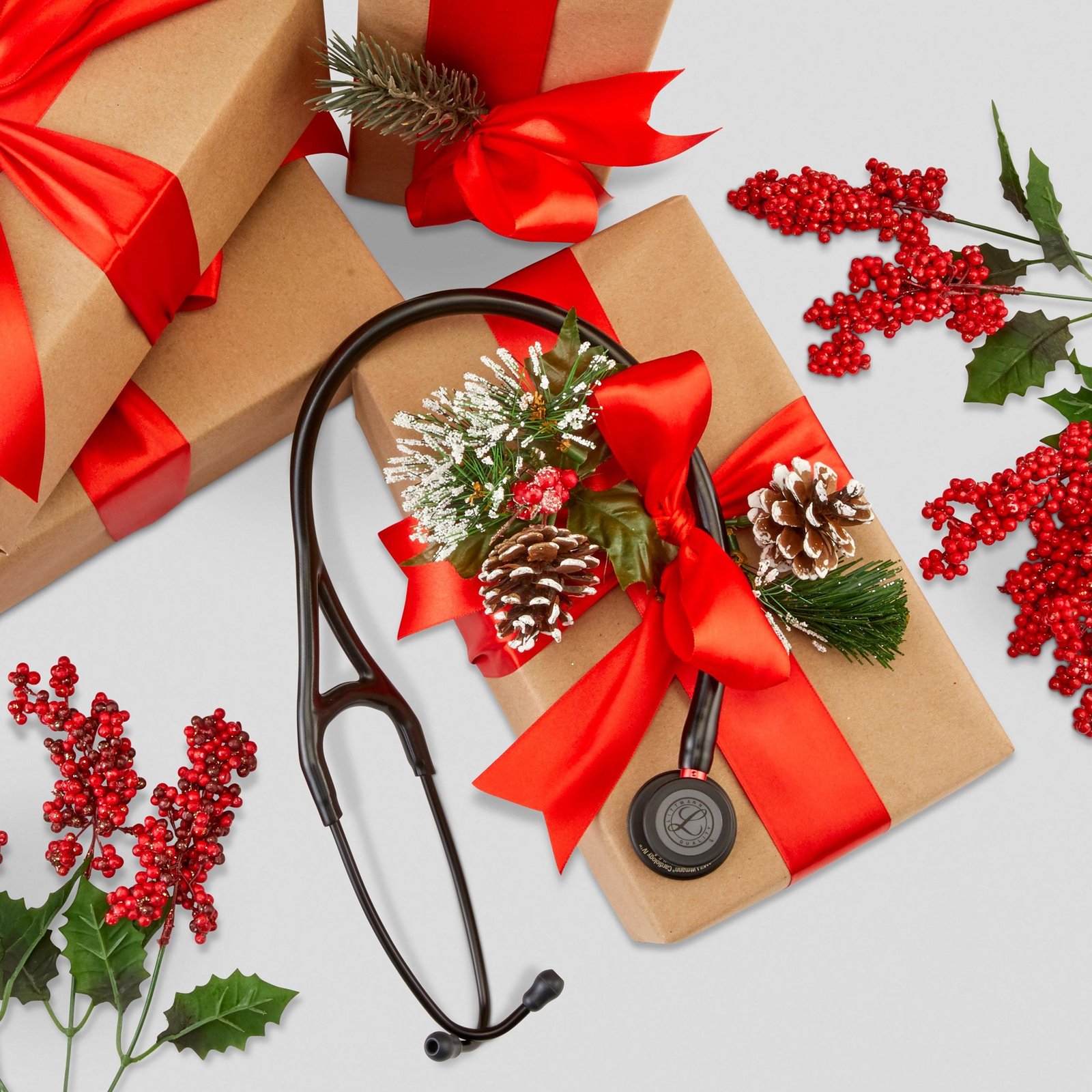 Littmann Stethoscope | Perfect Gift for Doctors in Pakistan Littmann Stethoscope – Perfect Gift for Doctors in Pakistan