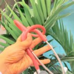 Littmann Classic III Pearl Pink Stethoscope – Original, Perfect for Pakistani Doctors, House Officers & Medical Students | LittmannStethoscopes.pk