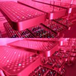 GoodLife Spectrum Ultra X - Image 3