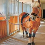 Red & Infrared LED Therapy Pad – Flexible Pain Relief Wrap YD002 - Image 6